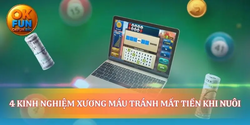 Bài học thực chiến cho chiến lược nuôi khung 3 ngày