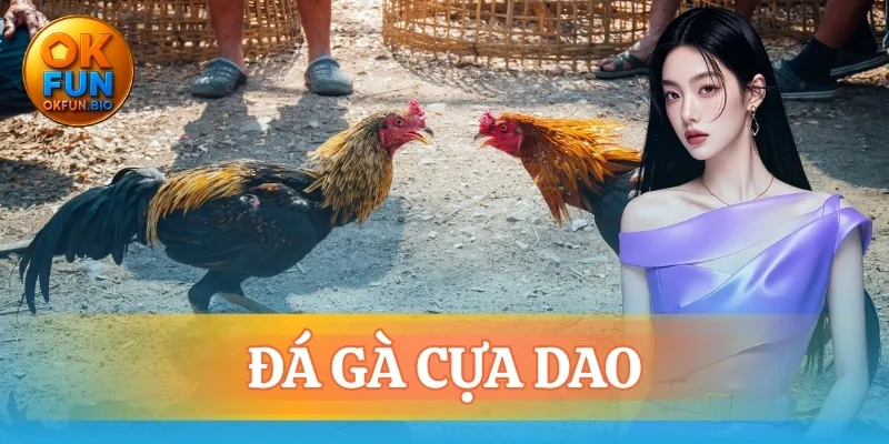 đá gà cựa dao