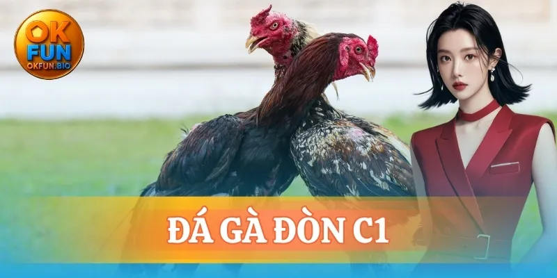 đá gà đòn c1