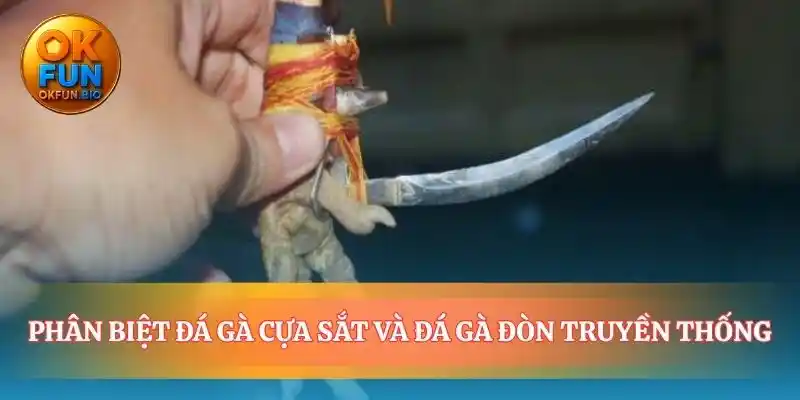 Khi tốc độ đối đầu với sức bền thuần túy