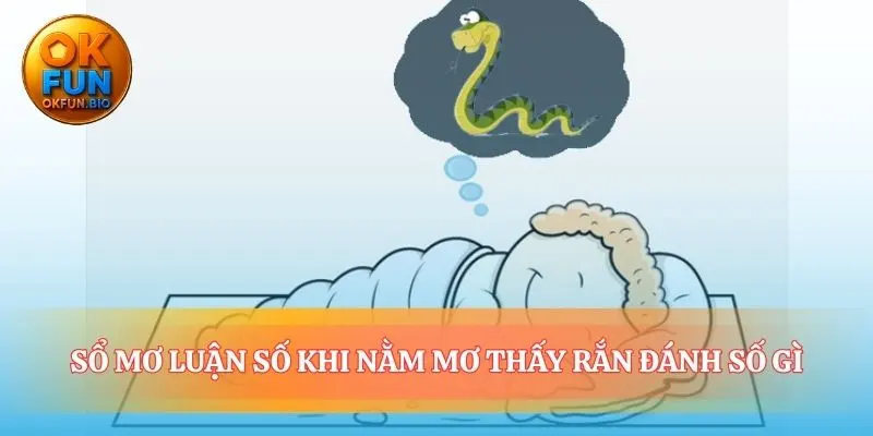 Giải mã nằm mơ thấy rắn đánh số gì chính xác